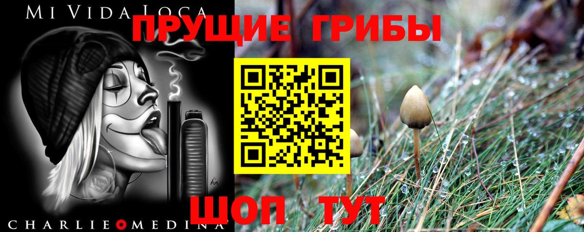 Амурск  Галлюциногенные грибы MAGIC MUSHROOMS  Псилоцибиновые грибы MAGIC MUSHROOMS  Вход с VPN 