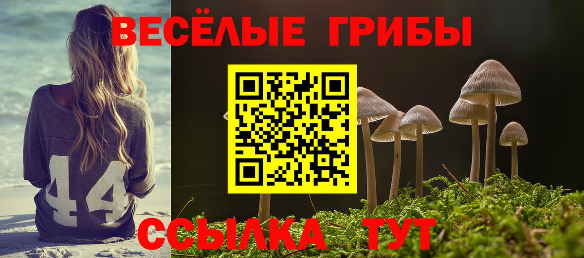 Галлюциногенные грибы прущие грибы Амурск